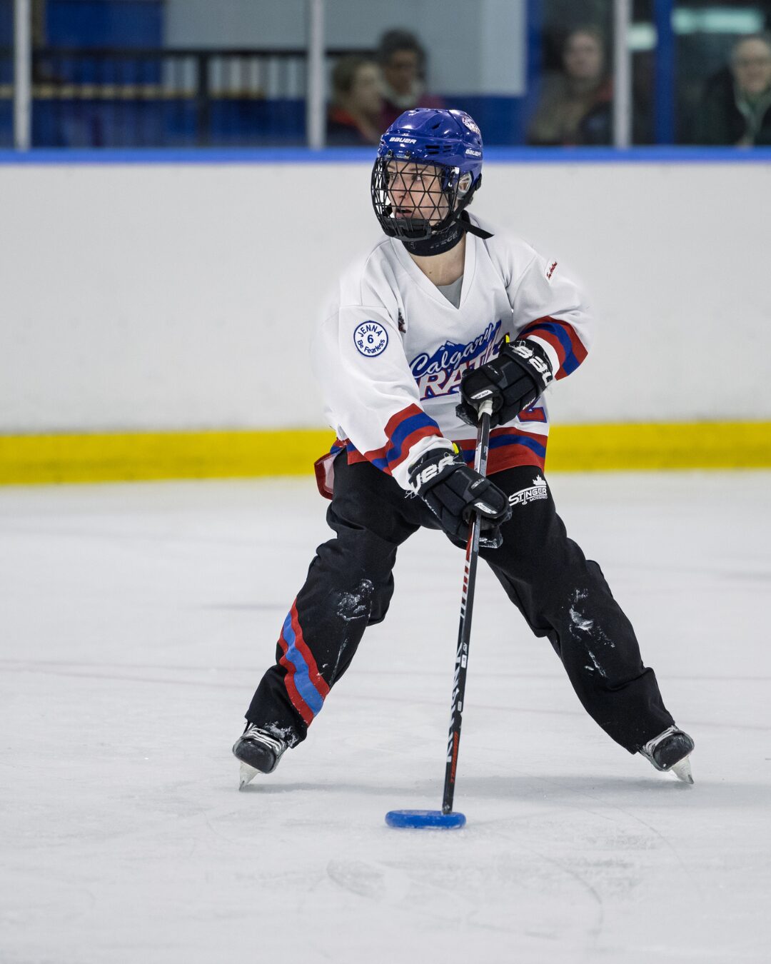 beginner's guide to NRL (2)